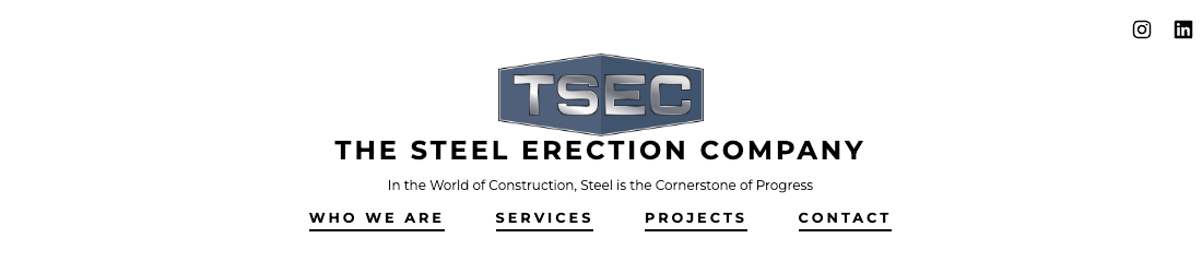 The Steel Erection Company